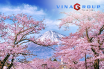 [HOA ANH ĐÀO] - NHẬT BẢN: OSAKA – NARA – KYOTO – NAGOYA – YAMANASHI – TOKYO